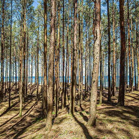 2 Bedroom Amazing In Prázdninový dům Lubiatowo (Pomerania)