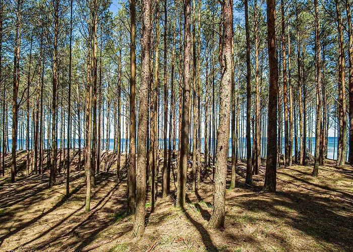 2 Bedroom Amazing In Prázdninový dům Lubiatowo (Pomerania)